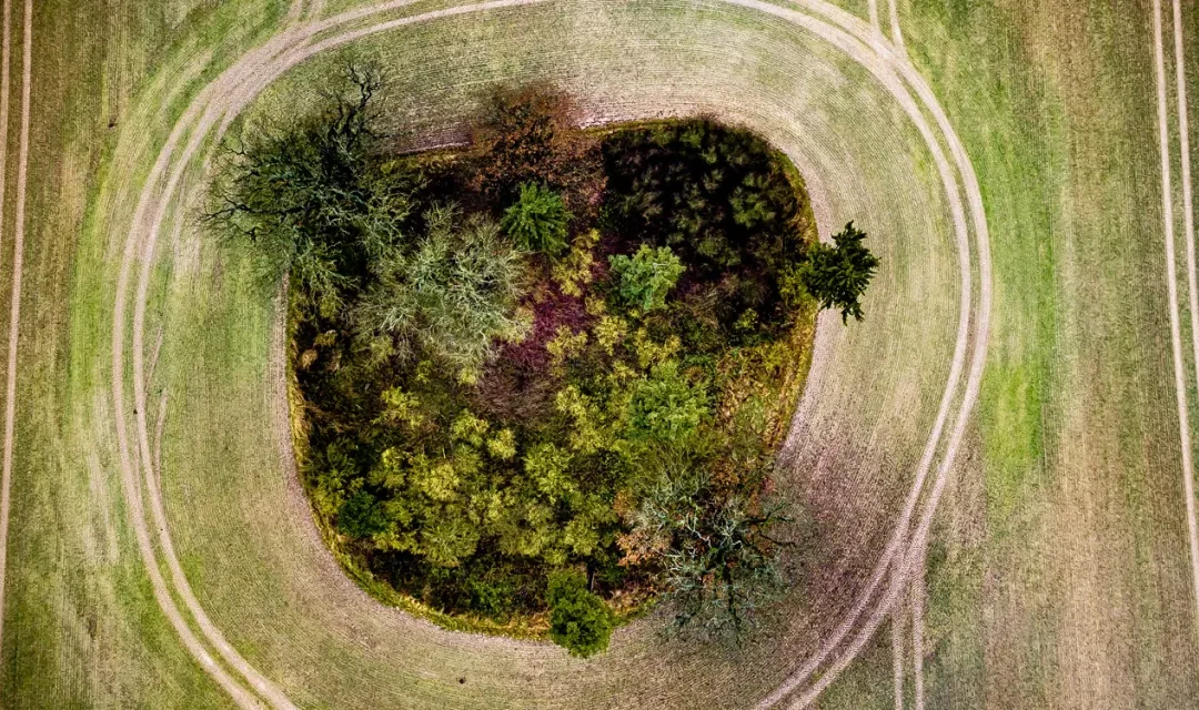 A Revolução Verde: Agricultura Sustentável e Economia Circular